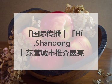 国际传播｜「Hi,Shandong」东营城市推介展亮相“从蒙马特到加里波第”文化节