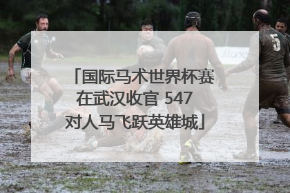 国际马术世界杯赛在武汉收官 547对人马飞跃英雄城