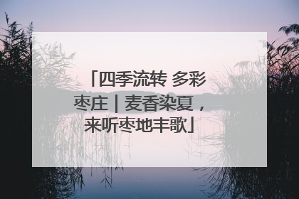 四季流转 多彩枣庄｜麦香染夏，来听枣地丰歌