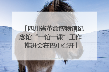 四川省革命博物馆纪念馆“一馆一课”工作推进会在巴中召开