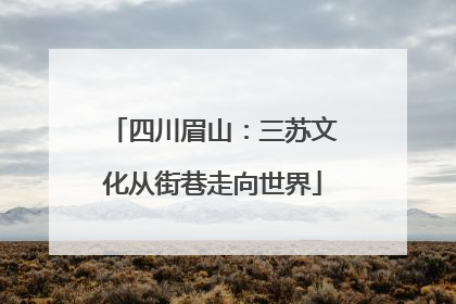 四川眉山：三苏文化从街巷走向世界