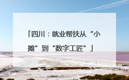 四川：就业帮扶从“小摊”到“数字工匠”