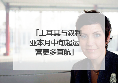土耳其与叙利亚本月中旬起运营更多直航