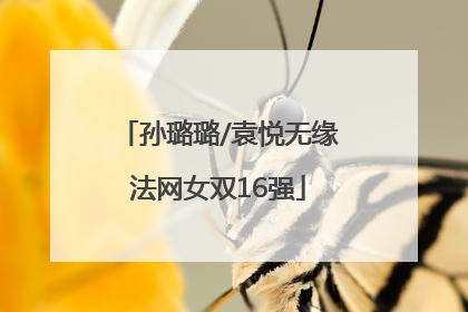孙璐璐/袁悦无缘法网女双16强