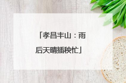 孝昌丰山：雨后天晴插秧忙