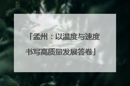 孟州：以温度与速度书写高质量发展答卷