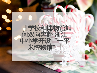 学校和博物馆如何双向奔赴 浙江中小学开设“一平米博物馆”