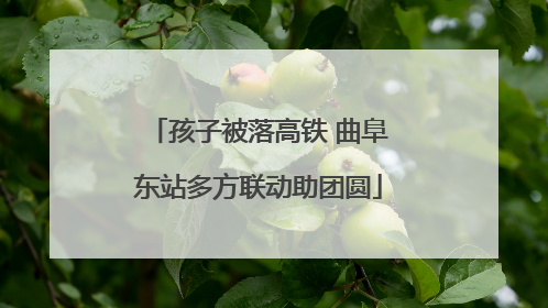 孩子被落高铁 曲阜东站多方联动助团圆