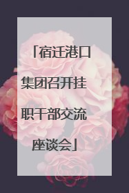 宿迁港口集团召开挂职干部交流座谈会