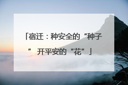 宿迁：种安全的“种子” 开平安的“花”