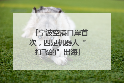 宁波空港口岸首次，四足机器人“打飞的”出海