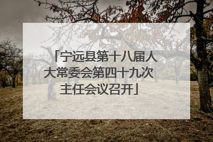 宁远县第十八届人大常委会第四十九次主任会议召开
