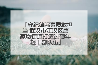 守纪律强素质敢担当 武汉市江汉区唐家墩街道打造过硬年轻干部队伍