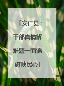 安仁县：干部真情解难题一面锦旗映民心