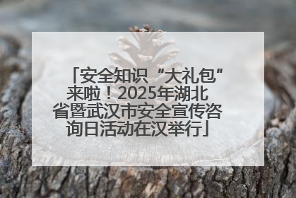 安全知识“大礼包”来啦！2025年湖北省暨武汉市安全宣传咨询日活动在汉举行