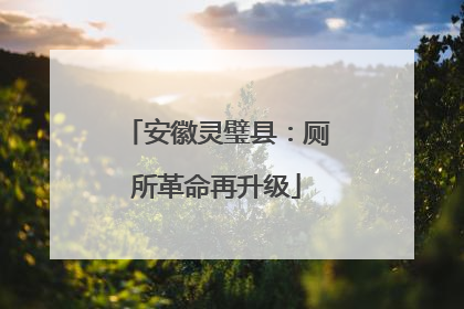 安徽灵璧县：厕所革命再升级