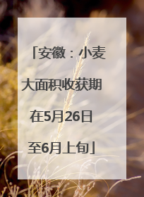安徽：小麦大面积收获期在5月26日至6月上旬