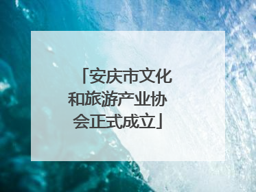 安庆市文化和旅游产业协会正式成立
