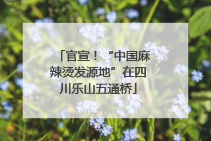官宣！“中国麻辣烫发源地”在四川乐山五通桥