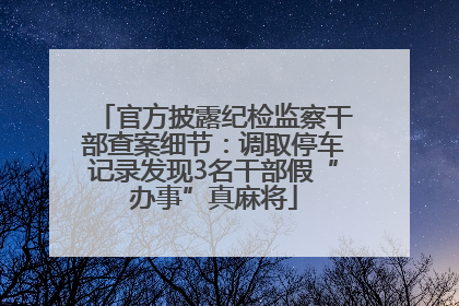 官方披露纪检监察干部查案细节：调取停车记录发现3名干部假“办事”真麻将