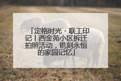 定格时光・联工印记丨西金苑小区拆迁拍照活动，镌刻永恒的家园记忆