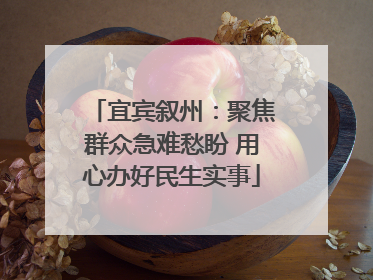 宜宾叙州：聚焦群众急难愁盼 用心办好民生实事