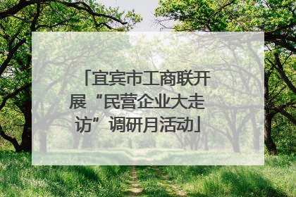 宜宾市工商联开展“民营企业大走访”调研月活动