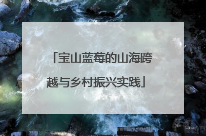 宝山蓝莓的山海跨越与乡村振兴实践