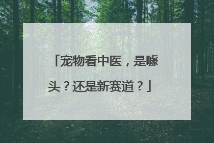 宠物看中医，是噱头？还是新赛道？