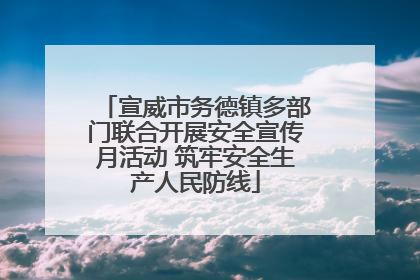 宣威市务德镇多部门联合开展安全宣传月活动 筑牢安全生产人民防线