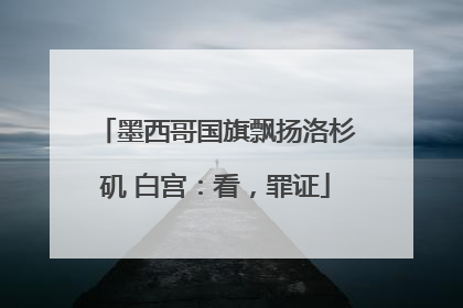 墨西哥国旗飘扬洛杉矶 白宫：看，罪证