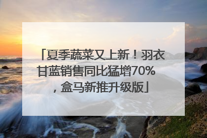 夏季蔬菜又上新！羽衣甘蓝销售同比猛增70%，盒马新推升级版