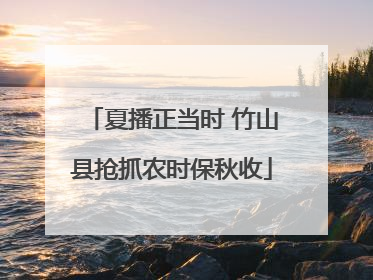 夏播正当时 竹山县抢抓农时保秋收