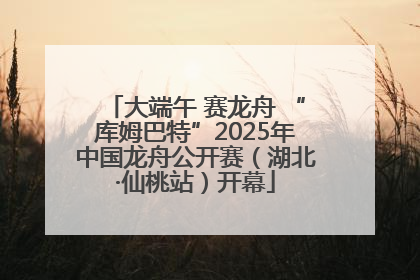 大端午 赛龙舟 “库姆巴特”2025年中国龙舟公开赛（湖北·仙桃站）开幕