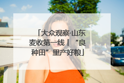 大众观察·山东麦收第一线丨“良种田”里产好粮