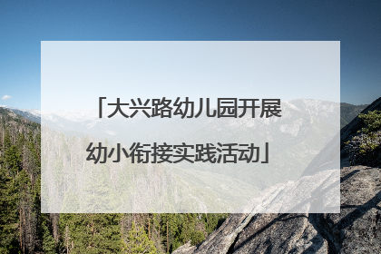 大兴路幼儿园开展幼小衔接实践活动