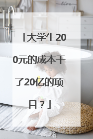 大学生200元的成本干了20亿的项目？