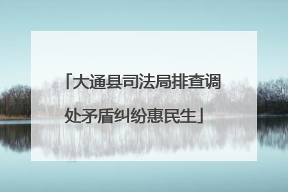 大通县司法局排查调处矛盾纠纷惠民生