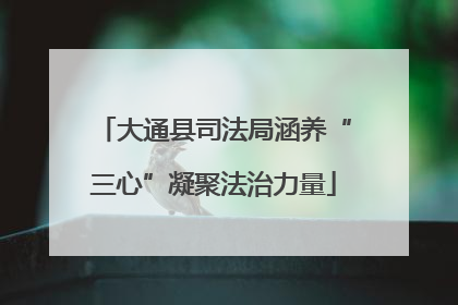 大通县司法局涵养“三心”凝聚法治力量