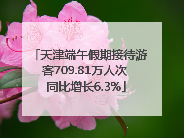 天津端午假期接待游客709.81万人次 同比增长6.3%