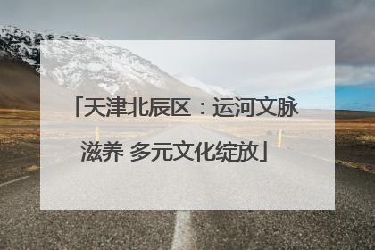 天津北辰区：运河文脉滋养 多元文化绽放