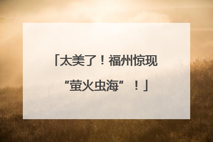 太美了！福州惊现“萤火虫海”！