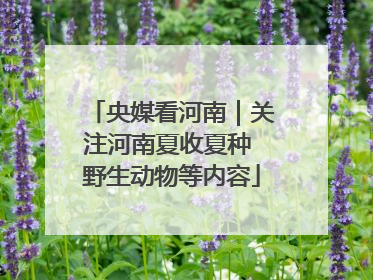 央媒看河南｜关注河南夏收夏种 野生动物等内容