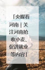 央媒看河南｜关注河南抢收小麦、促进就业等内容