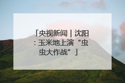 央视新闻｜沈阳：玉米地上演“虫虫大作战”