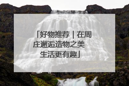 好物推荐｜在周庄邂逅造物之美 生活更有趣