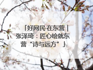 好网民·在东营｜张泽琦：匠心绘就东营“诗与远方”