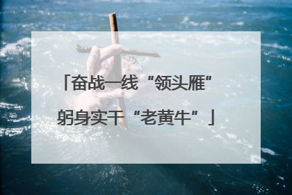 奋战一线“领头雁” 躬身实干“老黄牛”