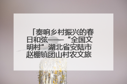 奏响乡村振兴的春日和弦——“全国文明村”湖北省安陆市赵棚镇团山村农文旅融合发展见闻