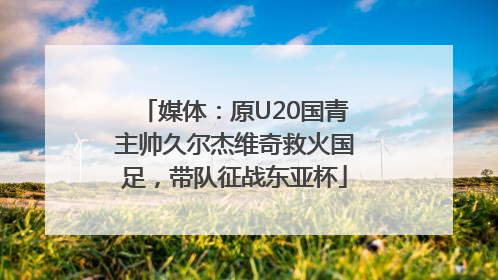 媒体：原U20国青主帅久尔杰维奇救火国足，带队征战东亚杯